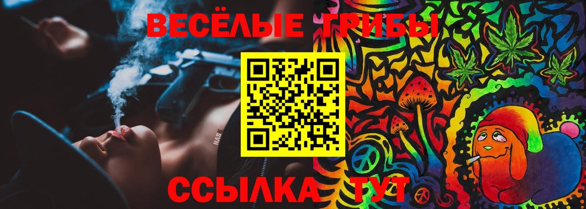 Борисоглебск  Псилоцибиновые грибы ЛСД  Вход с VPN 